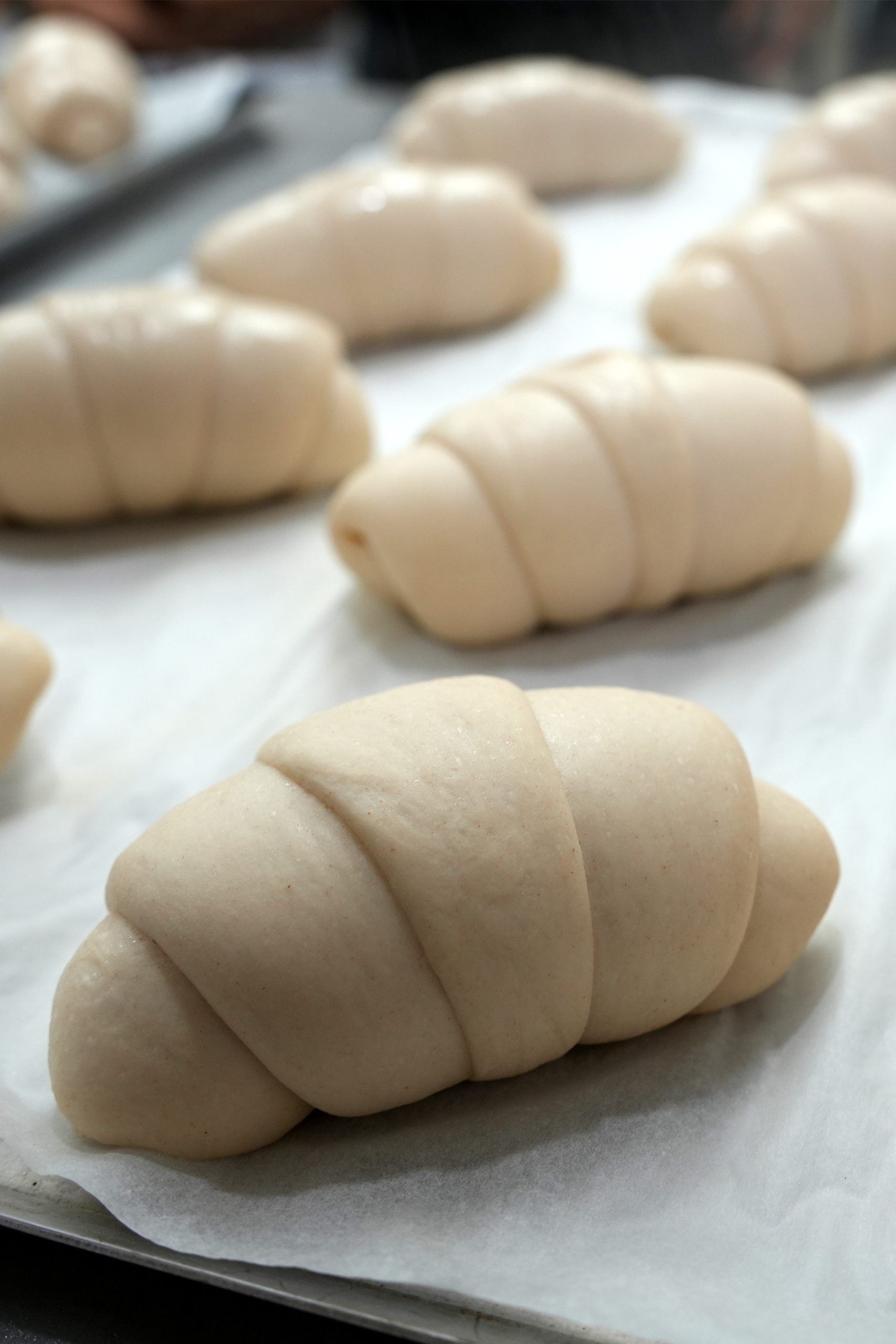frozen dough